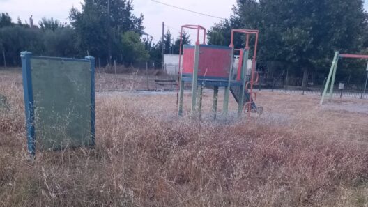 Παραλία: Ο δήμος δεν καθάρισε ούτε τα οικόπεδά του που χορταριάζουν επικίνδυνα εν μέσω αντιπυρικής περιόδου ΦΩΤΟ 12 Αυτοκίνητο πρόσχηδι