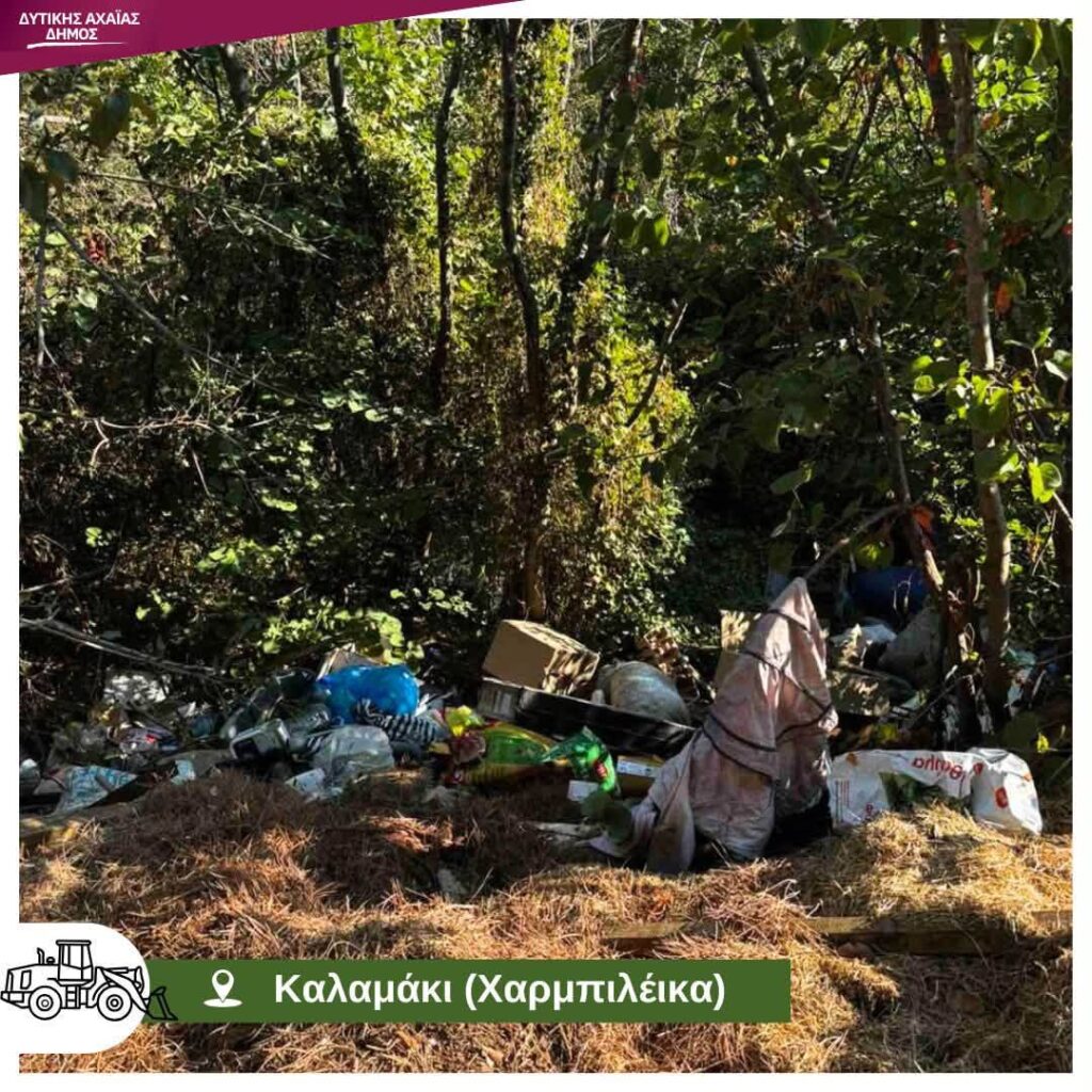 Καλαμάκι: «Ζούγκλα» τα Χαρμπιλέικα με διάσπαρτες παράνομες «Χωματερές» ΦΨΤΟ 10 Καλαμάκι: «Ζούγκλα» τα Χαρμπιλέικα με διάσπαρτες παράνομες «Χωματερές» ΦΨΤΟ
