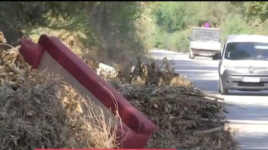 Σαραβάλι: Μπάζα, κλαδιά μέχρι και γκαζάκια στην παράλληλη της Περιμετρικής Πατρών –«Υγειονομική και αντιπυρική βόμβα» ΦΩΤΟ