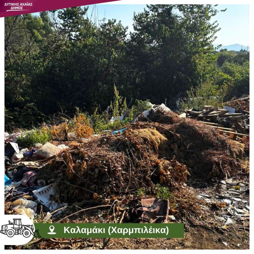 Καλαμάκι: «Ζούγκλα» τα Χαρμπιλέικα με διάσπαρτες παράνομες «Χωματερές» ΦΨΤΟ