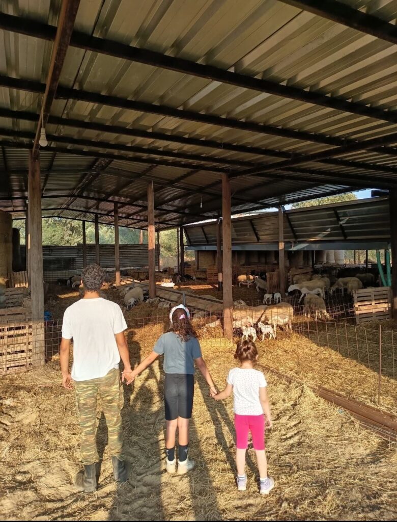 Δυτική Αχαΐα: Αποζημιώσεις στους κτηνοτρόφους για την ευλογιά των προβάτων – Η κραυγή αγωνίας πληγείσας συγκινεί ΦΩΤΟ 6 Δυτική Αχαΐα: Αποζημιώσεις στους κτηνοτρόφους για την ευλογιά των προβάτων – Η κραυγή αγωνίας πληγείσας συγκινεί ΦΩΤΟ