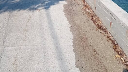 Κρυονέρι: Πάνω από δύο μήνες τρέχει το νερό στους δρόμους από βουλωμένο αυλάκι του ΤΟΕΒ Ποροβίτσας ΦΩΤΟ 14 Κρυονέρι: Πάνω από δύο μήνες τρέχει το νερό στους δρόμους από βουλωμένο αυλάκι του ΤΟΕΒ Ποροβίτσας ΦΩΤΟ