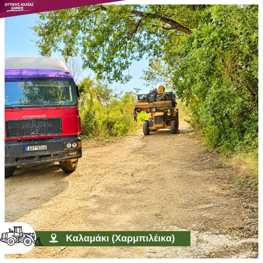 Καλαμάκι: «Ζούγκλα» τα Χαρμπιλέικα με διάσπαρτες παράνομες «Χωματερές» ΦΨΤΟ