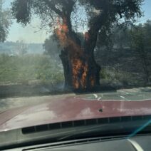Δυτική Αχαΐα: Κινητοποποίηση για πυρκαγιά σε δύο διαφορετικά περιστατικά ΦΩΤΟ 2 Εκδήλωση στην Πάτρα