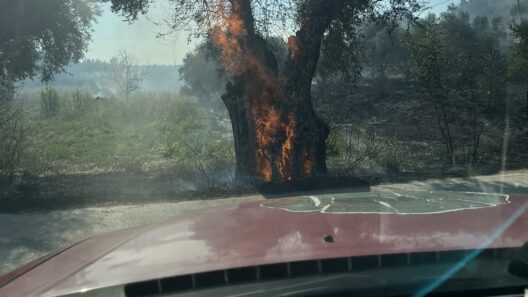 Δυτική Αχαΐα: Κινητοποποίηση για πυρκαγιά σε δύο διαφορετικά περιστατικά ΦΩΤΟ 13 Εκδήλωση στην Πάτρα