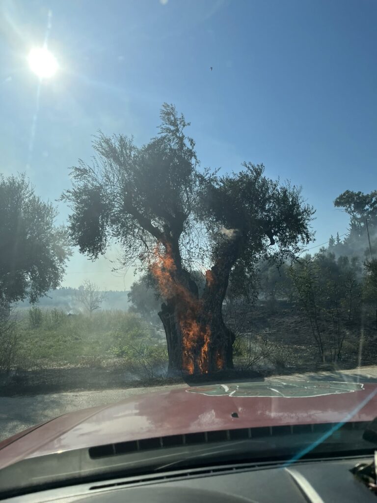 Δυτική Αχαΐα: Κινητοποποίηση για πυρκαγιά σε δύο διαφορετικά περιστατικά ΦΩΤΟ 7 Δυτική Αχαΐα: Κινητοποποίηση για πυρκαγιά σε δύο διαφορετικά περιστατικά ΦΩΤΟ