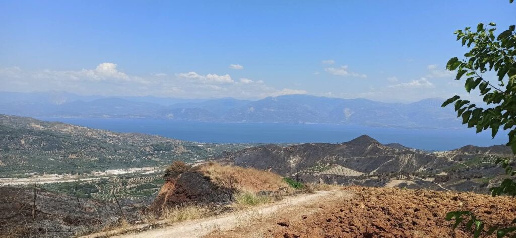 Αρραβωνίτσα: «Kρανίου τόπος» να σε πιάνει η ψυχή σου...» – Εικόνες οδύνης μετά τον εφιάλτη της πυρκαγιάς ΦΩΤΟ
