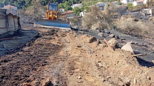 Φλόκα: Μηχανήματα μπήκαν στα καμένα – Αντιπυρικές ζώνες και διάνοιξη δρόμων και στο ΠέταΦΩΤΟ