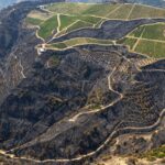 Αχαΐα: Οι πρώτες ζημιές από τις φωτιές σε Αιγιάλεια και Φλόκα – Οι αποζημιώσεις και τα επόμενα βήματα - Περιφέρεια και Δήμοι στο Patrapress ΦΩΤΟ