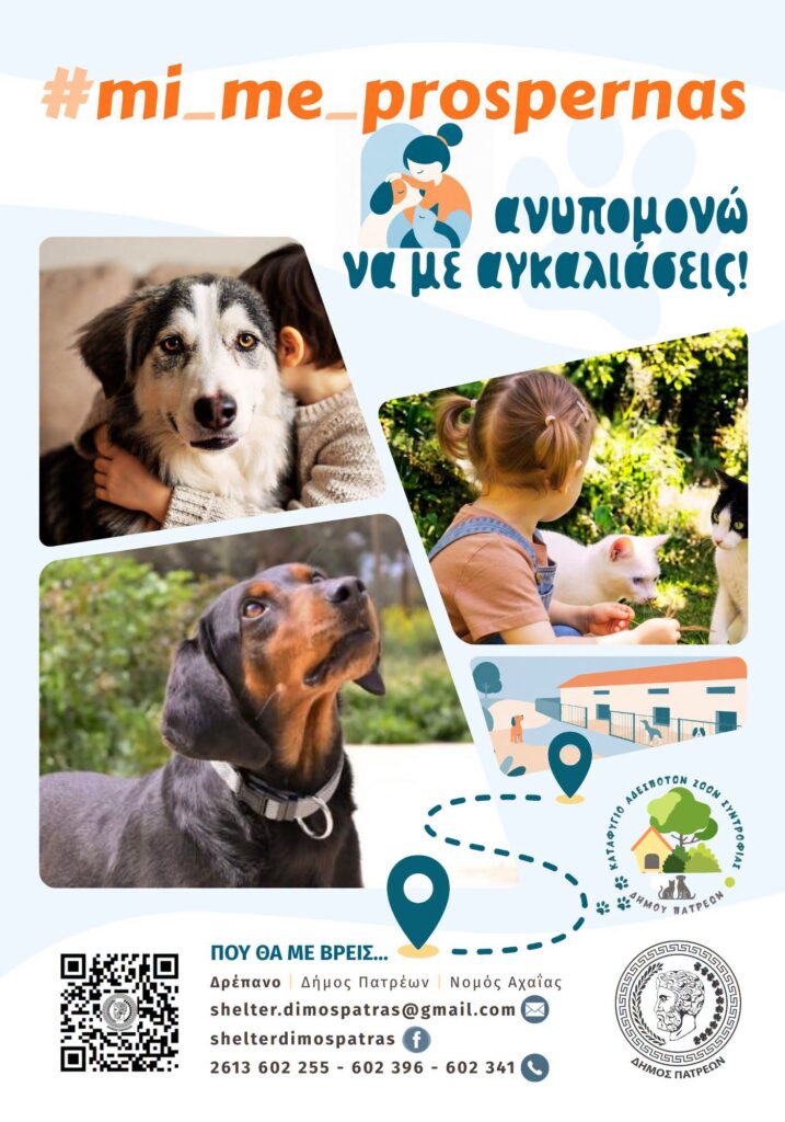 Στα παιδιά των Κατασκηνώσεων του Δήμου Πατρέων παρουσιάστηκε το Eκπαιδευτικό Φιλοζωικό Πρόγραμμα ΦΩΤΟ, 6 Στα παιδιά των Κατασκηνώσεων του Δήμου Πατρέων παρουσιάστηκε το Eκπαιδευτικό Φιλοζωικό Πρόγραμμα ΦΩΤΟ,