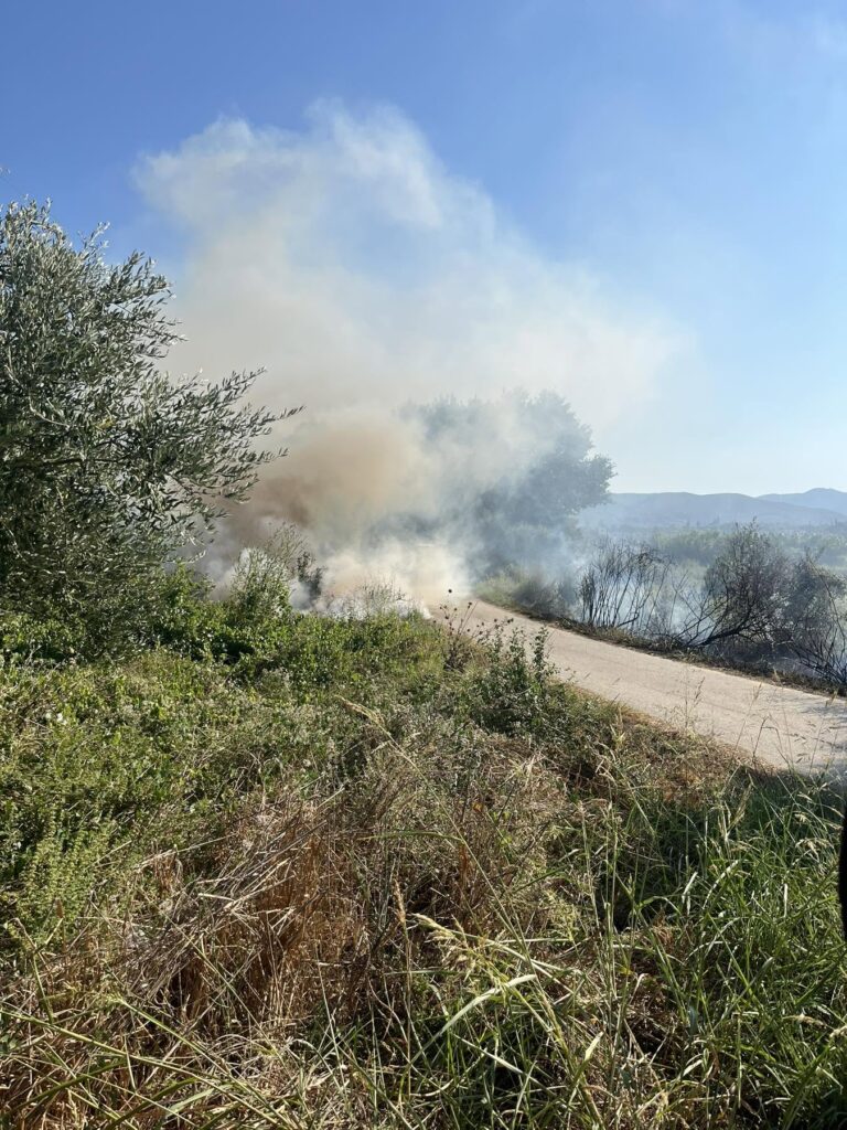 Δυτική Αχαΐα: Κινητοποποίηση για πυρκαγιά σε δύο διαφορετικά περιστατικά ΦΩΤΟ 6 Δυτική Αχαΐα: Κινητοποποίηση για πυρκαγιά σε δύο διαφορετικά περιστατικά ΦΩΤΟ