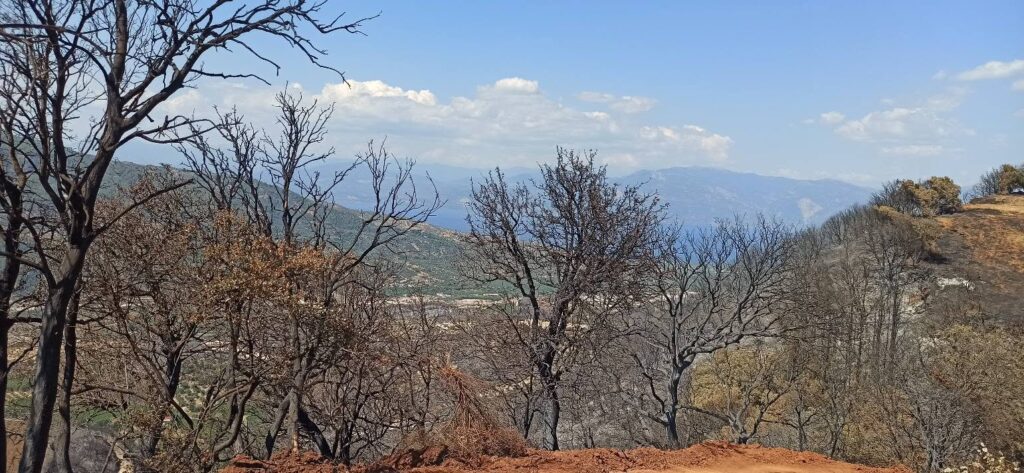 Αρραβωνίτσα: «Kρανίου τόπος» να σε πιάνει η ψυχή σου...» – Εικόνες οδύνης μετά τον εφιάλτη της πυρκαγιάς ΦΩΤΟ