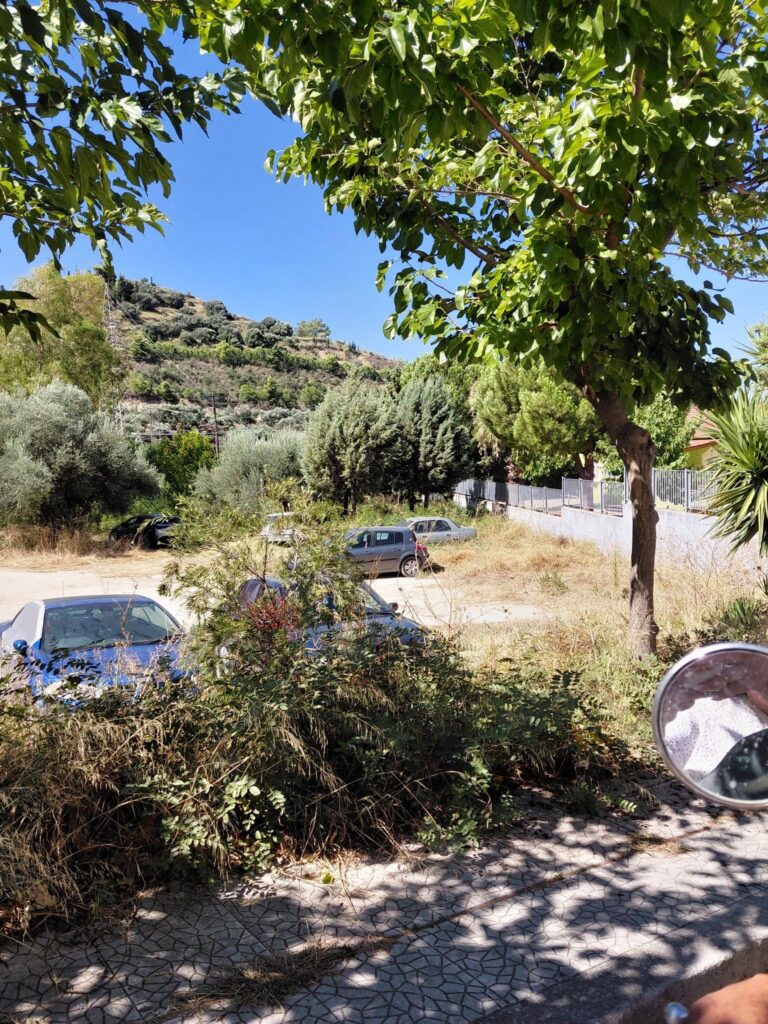 Ζαβλάνι: Οργή κατοίκων για παρατημένο δημοτικό Ελαιώνα που κατάντησε πάρκινγκ ΦΩΤΟ 6 Ζαβλάνι: Οργή κατοίκων για παρατημένο δημοτικό Ελαιώνα που κατάντησε πάρκινγκ ΦΩΤΟ