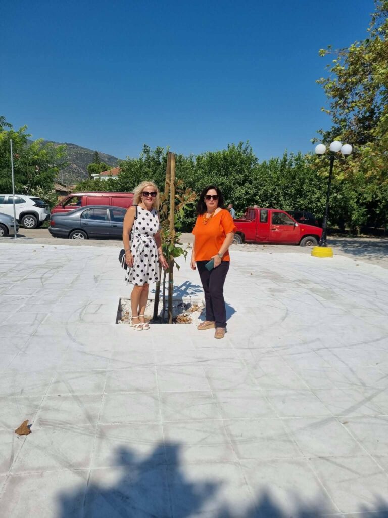 Ροδιά: Ξεκίνησε η αποκατάσταση της πλατείας μετά το ξήλωμα του πλαστικού χλοοτάπητα ΦΩΤΟ 10 Ροδιά: Ξεκίνησε η αποκατάσταση της πλατείας μετά το ξήλωμα του πλαστικού χλοοτάπητα ΦΩΤΟ