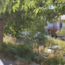 Ζαβλάνι: Οργή κατοίκων για παρατημένο δημοτικό Ελαιώνα που κατάντησε πάρκινγκ ΦΩΤΟ 2 Παρατημένος δημοτικός ελαιώνας με αυτοκίνητα παρκαρισμένα ανάμεσ…