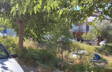 Ζαβλάνι: Οργή κατοίκων για παρατημένο δημοτικό Ελαιώνα που κατάντησε πάρκινγκ ΦΩΤΟ 13 Παρατημένος δημοτικός ελαιώνας με αυτοκίνητα παρκαρισμένα ανάμεσ…