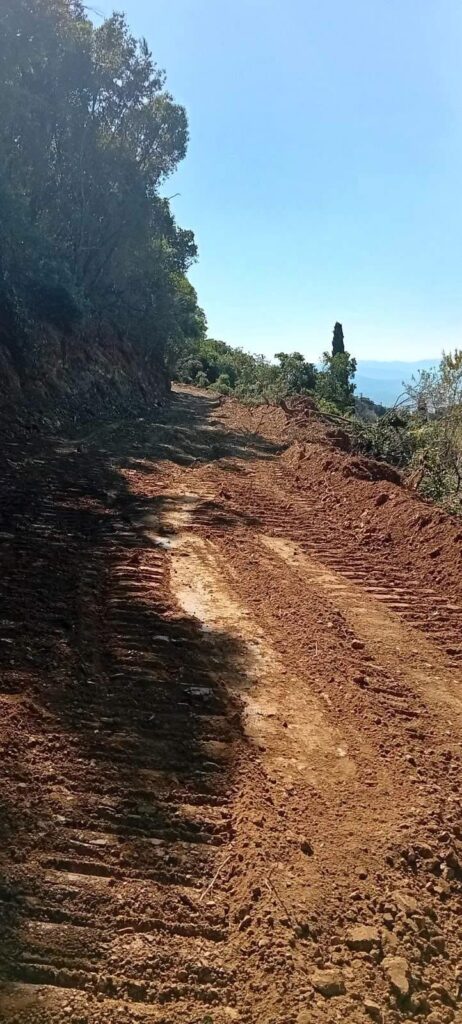 Φλόκα: Μηχανήματα μπήκαν στα καμένα – Αντιπυρικές ζώνες και διάνοιξη δρόμων και στο ΠέταΦΩΤΟ