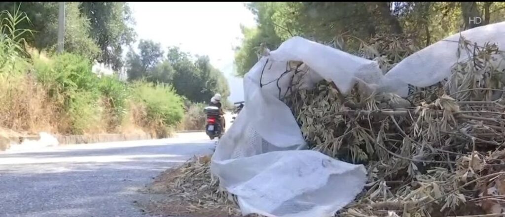 Σαραβάλι: Μπάζα, κλαδιά μέχρι και γκαζάκια στην παράλληλη της Περιμετρικής Πατρών – «Υγειονομική και αντιπυρική βόμβα» ΦΩΤΟ