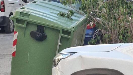 Πάτρα: «Σάρωσαν» οι ισχυροί άνεμοι - Κάδος έπεσε σε ΙΧ – Επικίνδυνη πτώση δέντρου ΦΩΤΟ 7 Πάτρα: «Σάρωσαν» οι ισχυροί άνεμοι - Κάδος έπεσε σε ΙΧ – Επικίνδυνη πτώση δέντρου ΦΩΤΟ