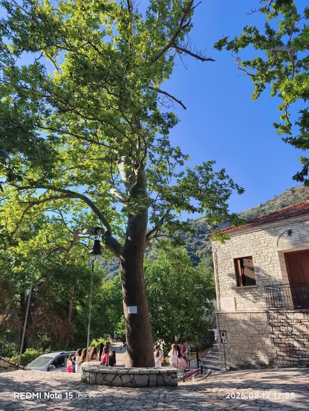 Η φύση έγινε πηγή έμπνευσης και δημιουργίας στο Βραχνί Καλαβρύτων ΦΩΤΟ 19 Η φύση έγινε πηγή έμπνευσης και δημιουργίας στο Βραχνί Καλαβρύτων ΦΩΤΟ