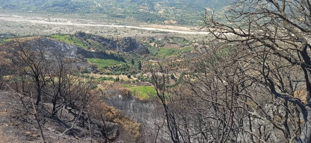 Αρραβωνίτσα: «Kρανίου τόπος» να σε πιάνει η ψυχή σου...» – Εικόνες οδύνης μετά τον εφιάλτη της πυρκαγιάς ΦΩΤΟ