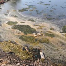 Πάτρα: Εισαγγελική έρευνα για βοθρολύματα σε τρεις θαλάσσιες περιοχές - Μετά από προσφυγή για τον κίνδυνο μόλυνσης ΦΩΤΟ