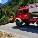 Καλάβρυτα: Πτώση μεγάλου κλαδιού σε δρόμο ΦΩΤΟ