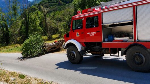 Καλάβρυτα: Πτώση μεγάλου κλαδιού πλατάνου σε δρόμο προκάλεσε κινητοποίηση Πυροσβεστικής και Δήμου ΦΩΤΟ 12 Πλατεία Καλαβρύτων με πυροσβεστικά
