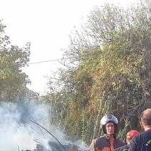 Ροδοδάφνη: Φωτιά σε καλαμιές με άμεση κινητοποίηση της Πυροσβεστικής 1 Ροδοδάφνη: Φωτιά σε καλαμιές με άμεση κινητοποίηση της Πυροσβεστικής