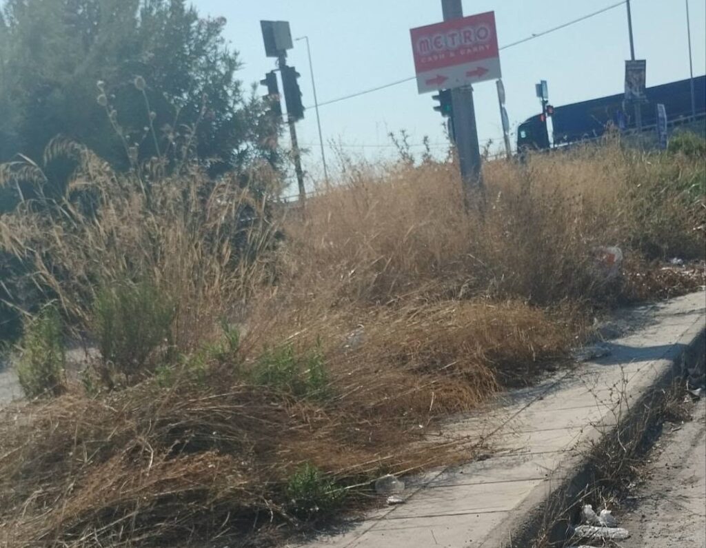 Πάτρα: «Ζούγκλα και βρωμιά» στη νότια είσοδο της πόλης ΦΩΤΟ