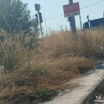 Πάτρα: «Ζούγκλα και βρωμιά» της νότιας εισόδου κοντά στην «βιτρίνα» του Λιμανιού ΦΩΤΟ