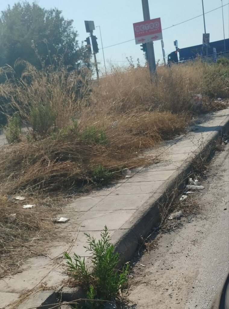 Πάτρα: Γλαύκου και Ακτή Δυμαίων – «Ζούγκλα» και δυσοσμία σε κοινή θέα ΦΩΤΟ