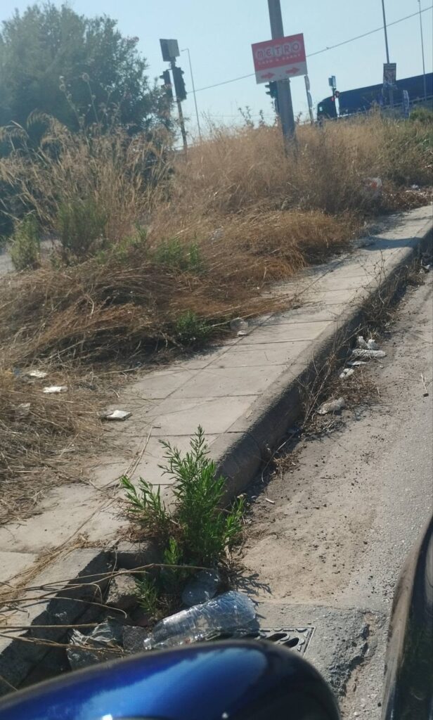 Πάτρα: «Ζούγκλα και βρωμιά» της νότιας εισόδου κοντά στην «βιτρίνα» του Λιμανιού ΦΩΤΟ