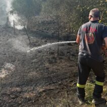 Λουσικά: Πυρκαγιά με ισχυρούς ανέμους αναστάτωσε το χωριό ΦΩΤΟ 1 Λουσικά: Πυρκαγιά με ισχυρούς ανέμους αναστάτωσε το χωριό ΦΩΤΟ