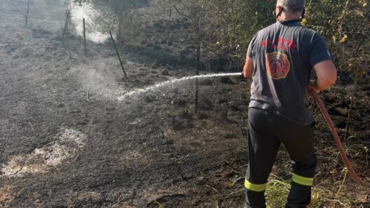 Λουσικά: Πυρκαγιά με ισχυρούς ανέμους αναστάτωσε το χωριό ΦΩΤΟ 12 Λουσικά: Πυρκαγιά με ισχυρούς ανέμους αναστάτωσε το χωριό ΦΩΤΟ