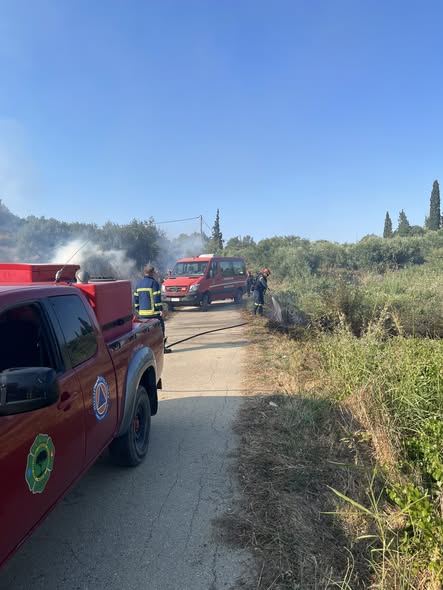 Δυτική Αχαΐα: Κινητοποποίηση για πυρκαγιά σε δύο διαφορετικά περιστατικά ΦΩΤΟ 9 Δυτική Αχαΐα: Κινητοποποίηση για πυρκαγιά σε δύο διαφορετικά περιστατικά ΦΩΤΟ