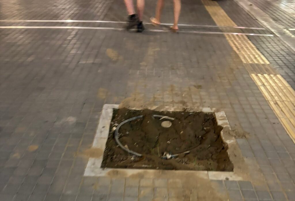 Πάτρα: Δέντρα και καλαθάκια τα προβλήματα στον πεζόδρομο της Μαιζώνος ΦΩΤΟ