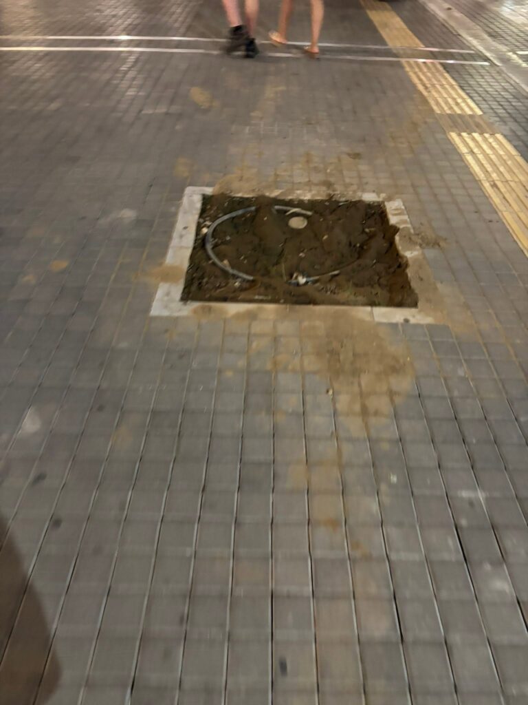 Πάτρα: Δέντρα και καλαθάκια τα προβλήματα στον πεζόδρομο της Μαιζώνος ΦΩΤΟ 7 Πάτρα: Δέντρα και καλαθάκια τα προβλήματα στον πεζόδρομο της Μαιζώνος ΦΩΤΟ
