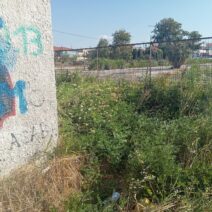 Πάτρα: Ερωτήματα για το γήπεδο των 88.000€ σε Ιτιές και Κόκκινο Μύλο ΦΩΤΟ 1 Πάτρα: Ερωτήματα για το γήπεδο των 88.000€ σε Ιτιές και Κόκκινο Μύλο ΦΩΤΟ