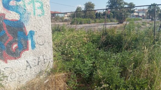 Πάτρα: Ερωτήματα για το γήπεδο των 88.000€ σε Ιτιές και Κόκκινο Μύλο ΦΩΤΟ 12 Πάτρα: Ερωτήματα για το γήπεδο των 88.000€ σε Ιτιές και Κόκκινο Μύλο ΦΩΤΟ