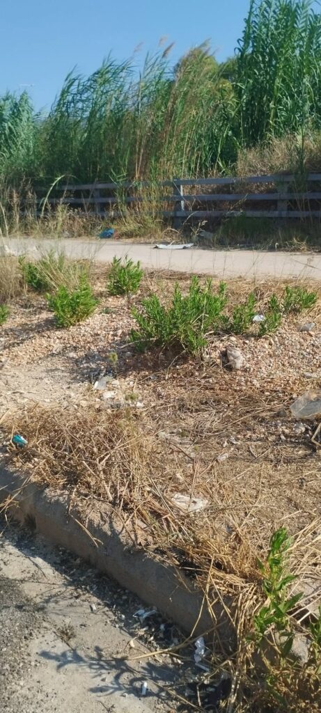 Πάτρα: «Ζούγκλα και βρωμιά» της νότιας εισόδου κοντά στην «βιτρίνα» του Λιμανιού ΦΩΤΟ