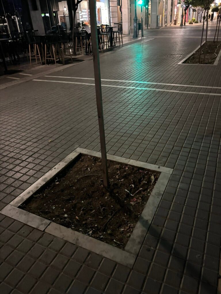 Πάτρα: Δέντρα και καλαθάκια τα προβλήματα στον πεζόδρομο της Μαιζώνος ΦΩΤΟ 5 Πάτρα: Δέντρα και καλαθάκια τα προβλήματα στον πεζόδρομο της Μαιζώνος ΦΩΤΟ