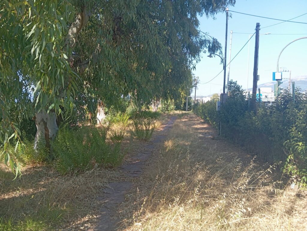 Πάτρα: Ερωτήματα για το γήπεδο των 88.000€ σε Ιτιές και Κόκκινο Μύλο ΦΩΤΟ