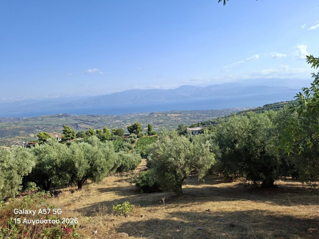 Με θέα τον Κορινθιακό ο εορτασμός της Παναγίας στο Πετροβούνι Αιγίου ΦΩΤΟ 6 Με θέα τον Κορινθιακό ο εορτασμός της Παναγίας στο Πετροβούνι Αιγίου ΦΩΤΟ