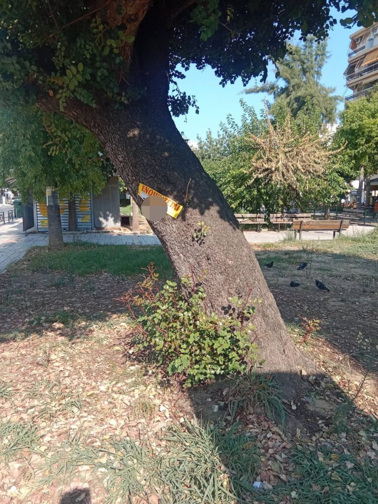 Πάτρα: Δέντρα, παγκάκια και κολώνες έγιναν «πίνακες αγγελιών» με ενοικιαστήρια ΦΩΤΟ