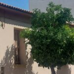 Αίγιο: Θέμα συζήτησης μια Νεραντζιά - «Σκελετωμένο φάντασμα» αιωρείται εδώ και καιρό ΦΩΤΟ
