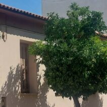 Αίγιο: Θέμα συζήτησης μια Νεραντζιά - «Το σκελετωμένο φάντασμα» που αιωρείται εδώ και καιρό ΦΩΤΟ