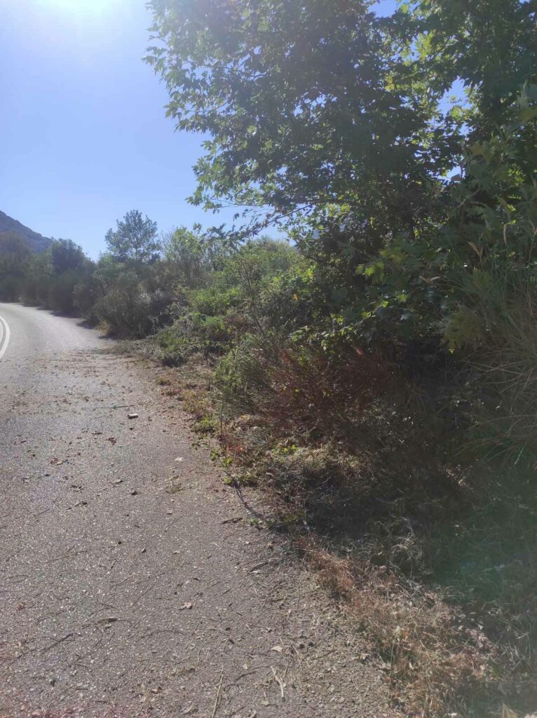 Αχαΐα: Παρέμβαση καθαρισμού και οδικής ασφάλειας στην Εθνική οδό «111»