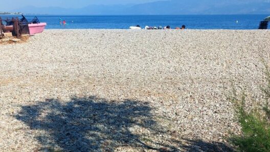 Πούντα: Σακούλες με σκουπίδια γύρω από τις ξαπλώστρες των λουόμενων ΦΩΤΟ 18 Πούντα: Σακούλες με σκουπίδια γύρω από τις ξαπλώστρες των λουόμενων ΦΩΤΟ