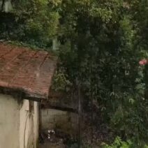 Καλάβρυτα: «Έριξε καρέκλες» με προβλήματα από χαλαζόπτωση και «πύρινο» κεραυνό ΒΙΝΤΕΟ 3 Καλάβρυτα: «Έριξε καρέκλες» με προβλήματα από χαλαζόπτωση και «πύρινο» κεραυνό ΒΙΝΤΕΟ
